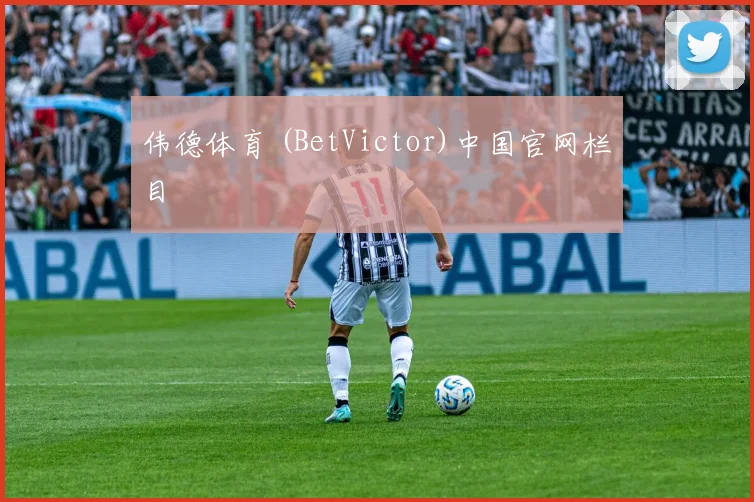 伟德体育 (BetVictor)中国官网栏目