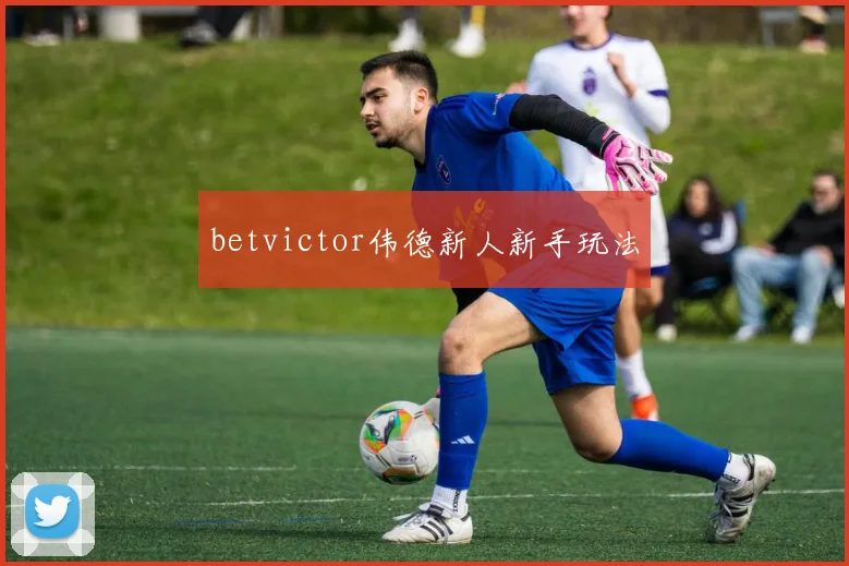 betvictor伟德新人新手玩法
