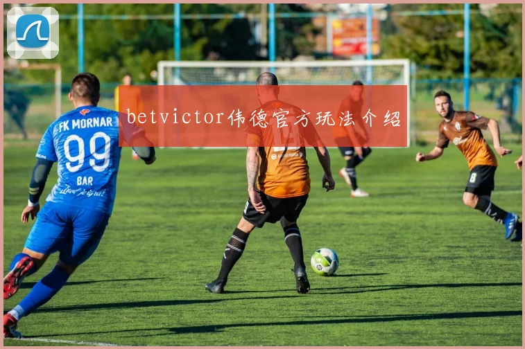betvictor伟德官方玩法介绍