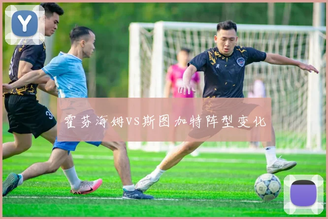 霍芬海姆vs斯图加特阵型变化